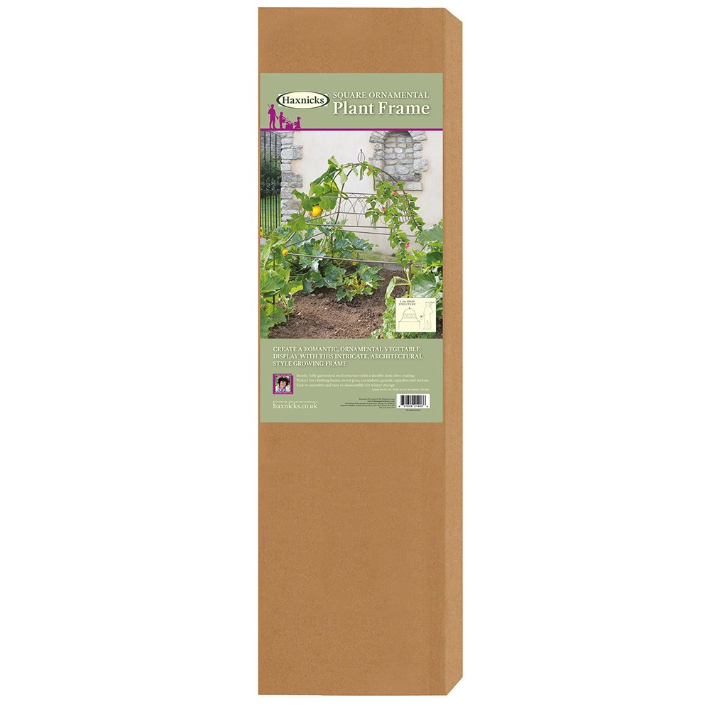 Square ornamental plant frame