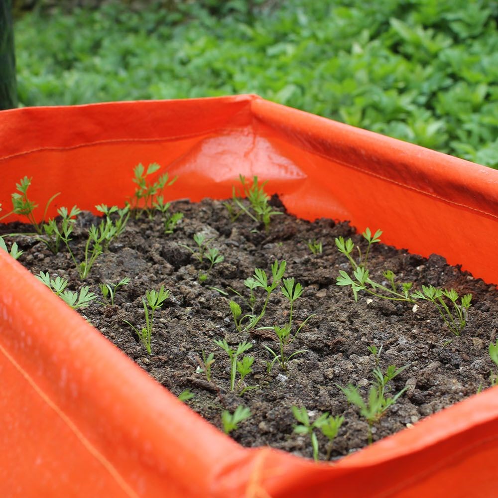 Carrot patio planters - set of 2