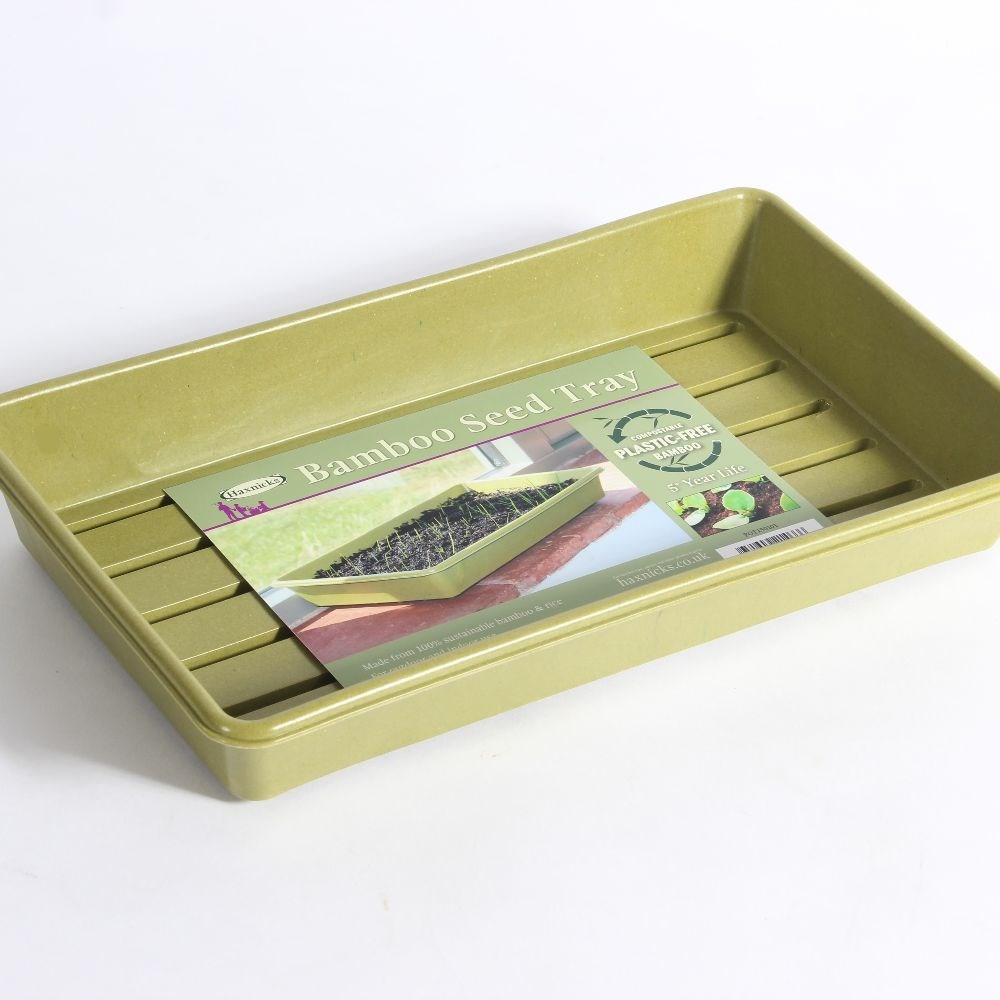 Bamboo seed tray - sage 