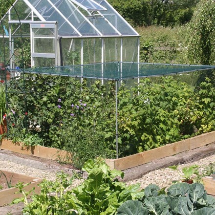 Fruit cage starter kit