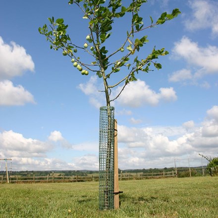 Tree guard - flexi-mesh