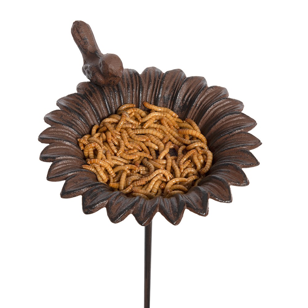 Sunflower stake bird feeder