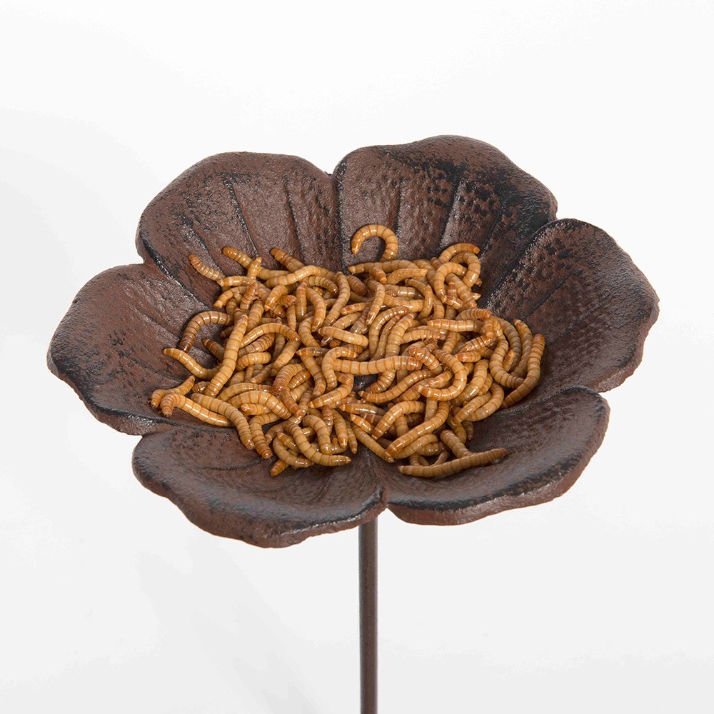 Poppy stake bird feeder