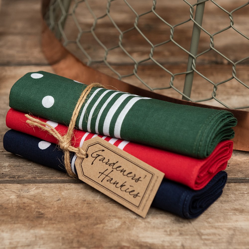 Enormous spotty handkerchiefs - bundle of 3