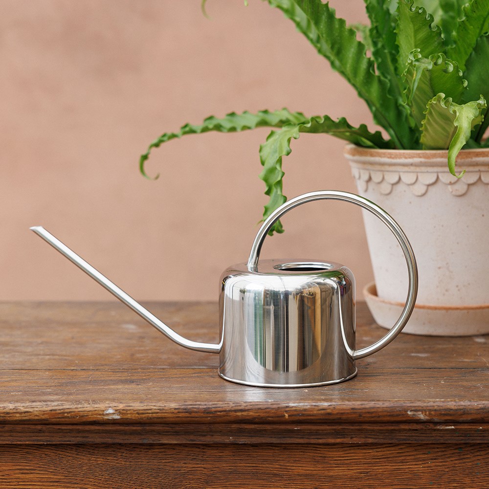 Indoor stainless steel watering can