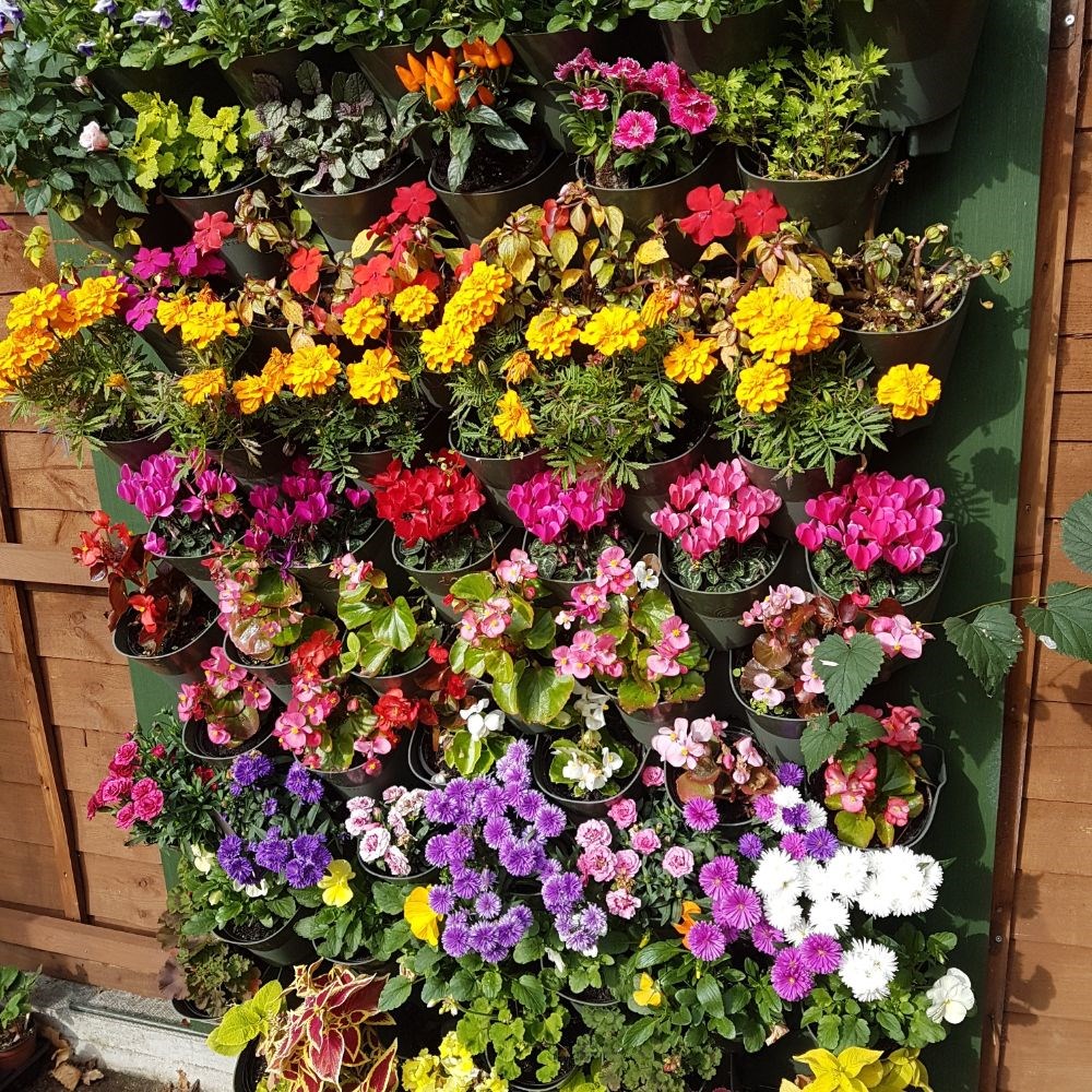 Living wall vertical planting starter kit - 0.32m2