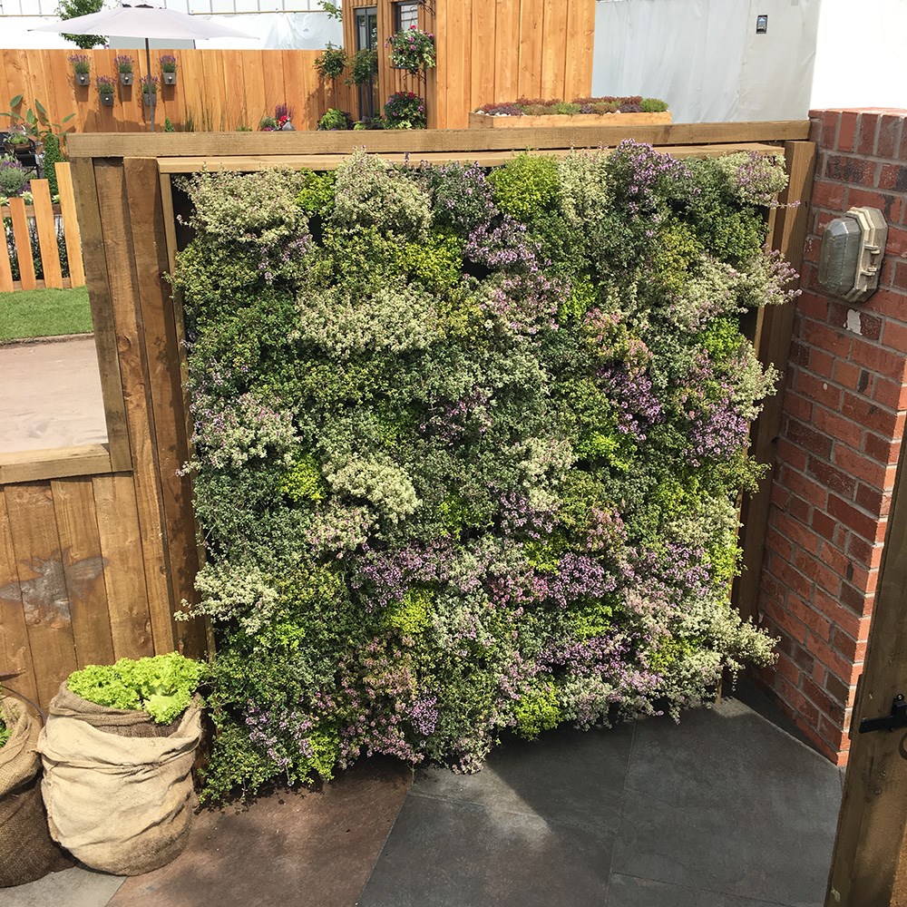 Living wall vertical planting starter kit - 0.32m2