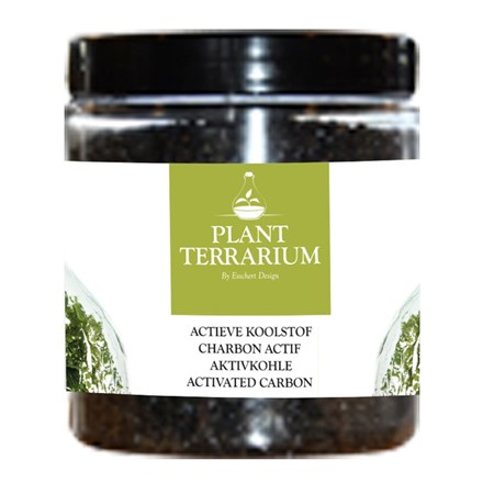 Plant terrarium charcoal