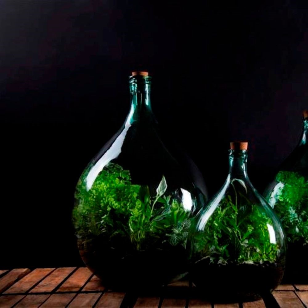 Plant terrarium bottle 15 litre set
