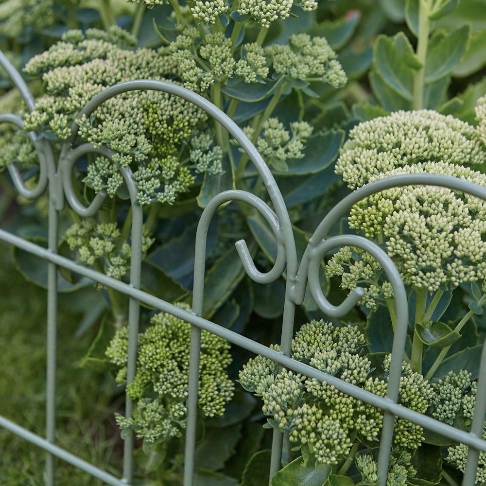 Arched scroll garden border edging - sage