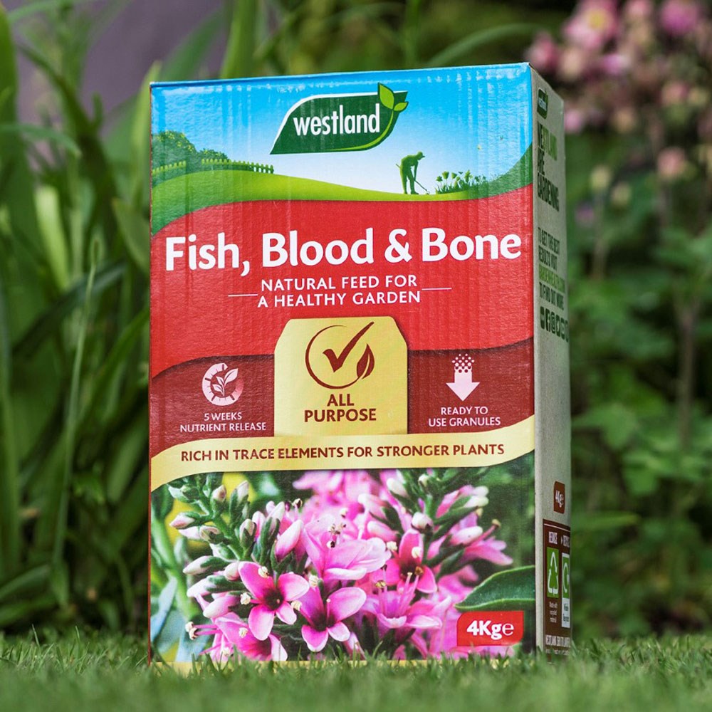 Fish blood and bone