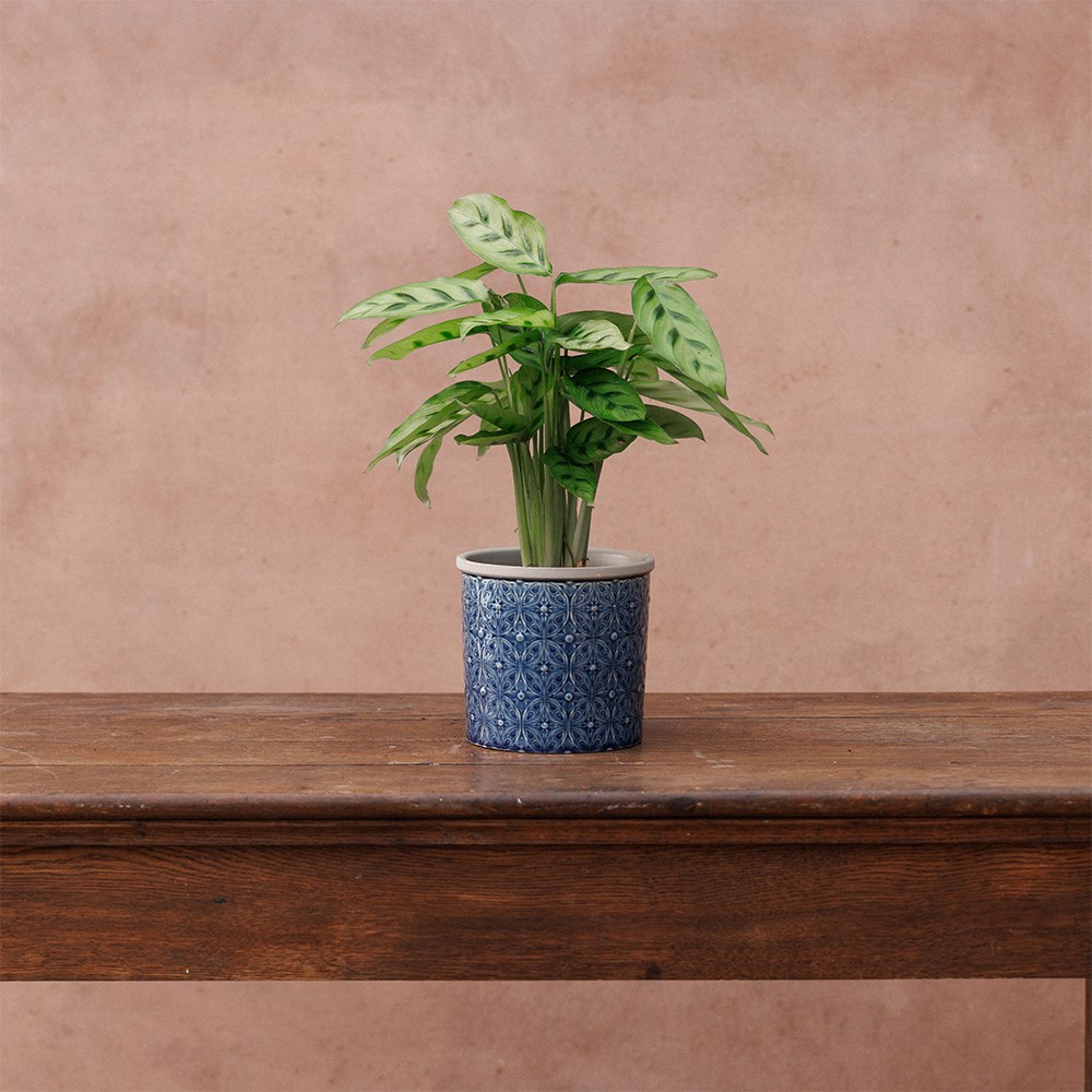 Glazed pot - porto dark blue