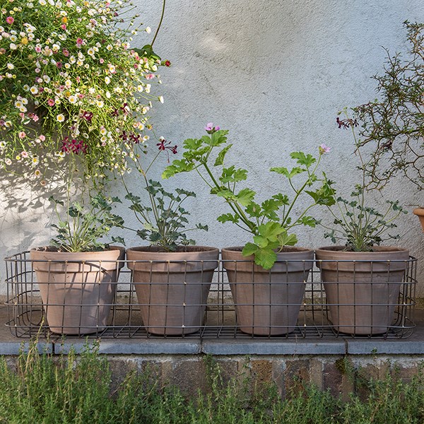 Classic grey Italian terracotta pot