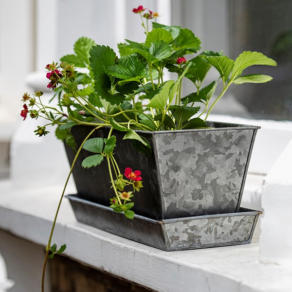 Dark galvanised metal window trough tray