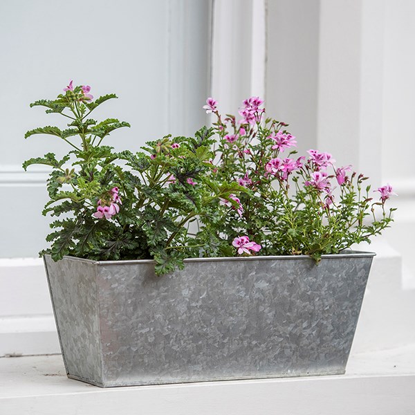 Galvanised metal window trough