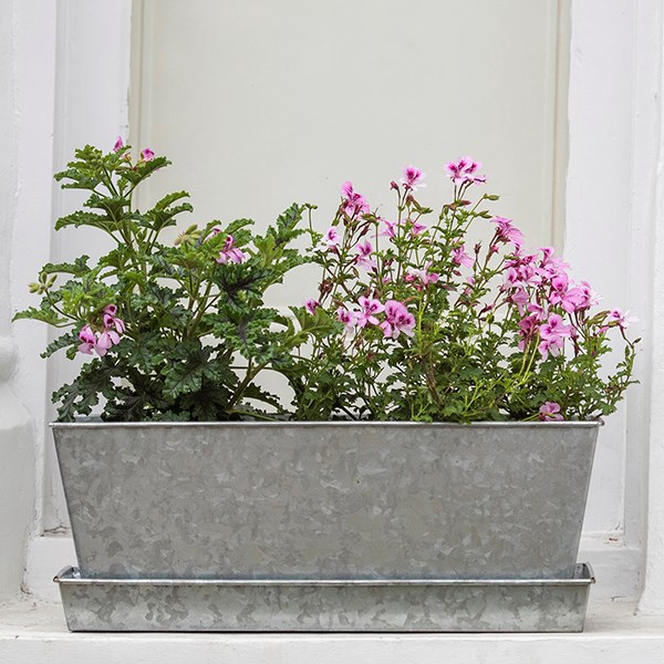 Galvanised metal window trough