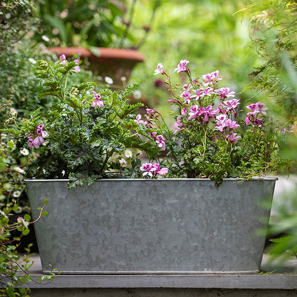 Galvanised metal window trough