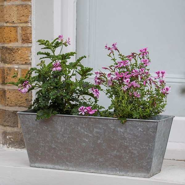 Galvanised metal window trough