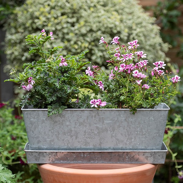 Galvanised metal window trough tray
