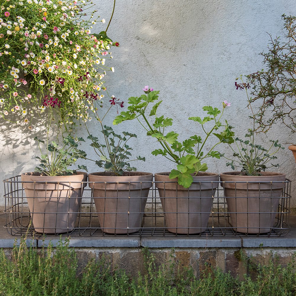 Pot window basket