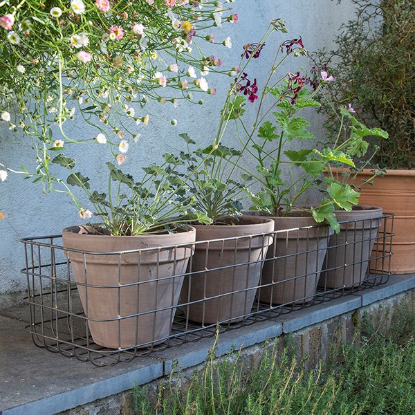 Pot window basket