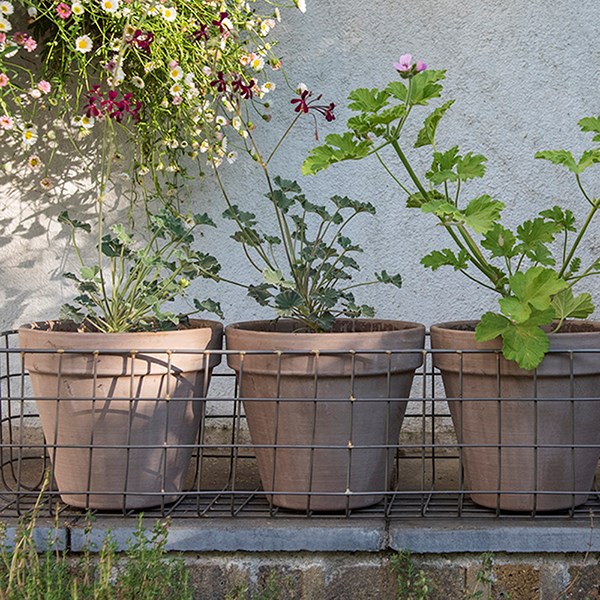 Pot window basket