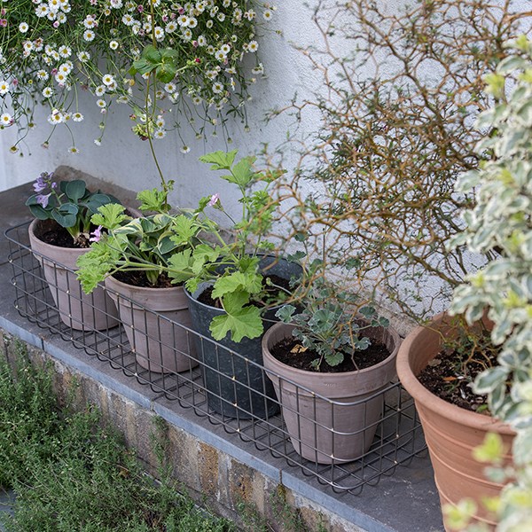 Pot window basket