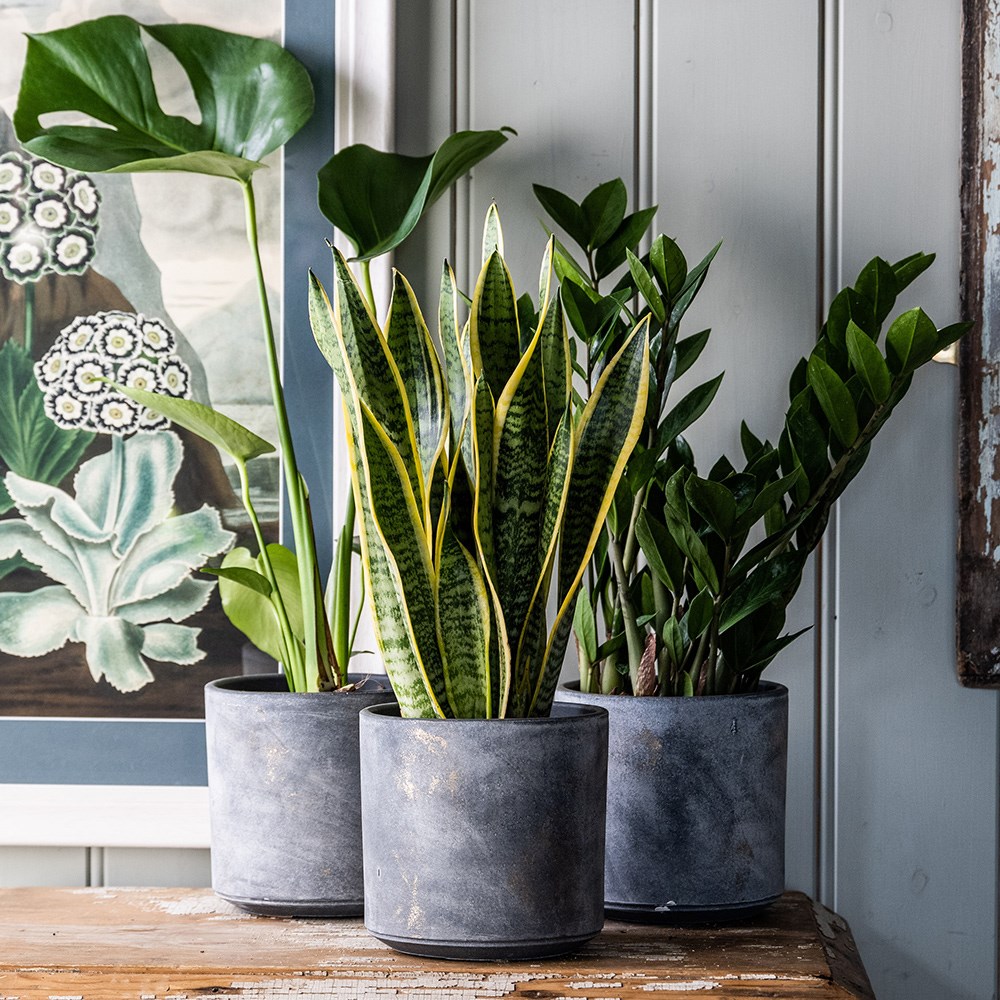 Ceramic plant pot - charcoal
