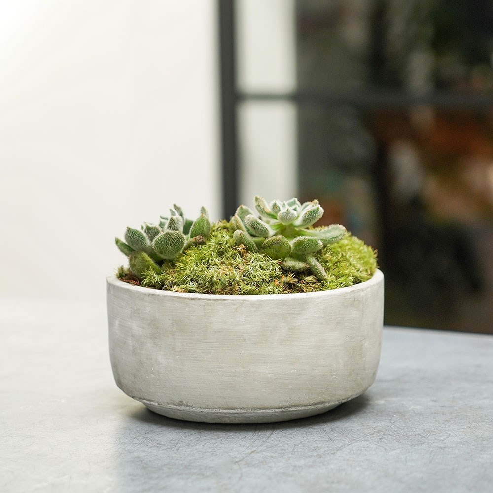 Cement style low bowl - light grey