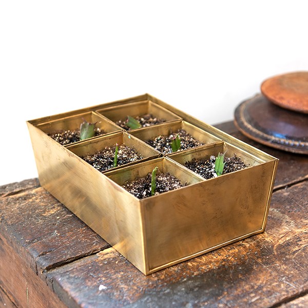 Brass tray with 6 brass grow pods