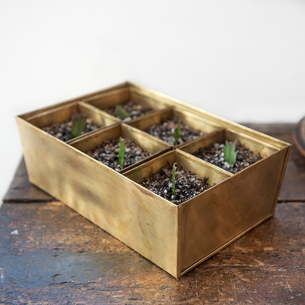 Brass tray with 6 brass grow pods