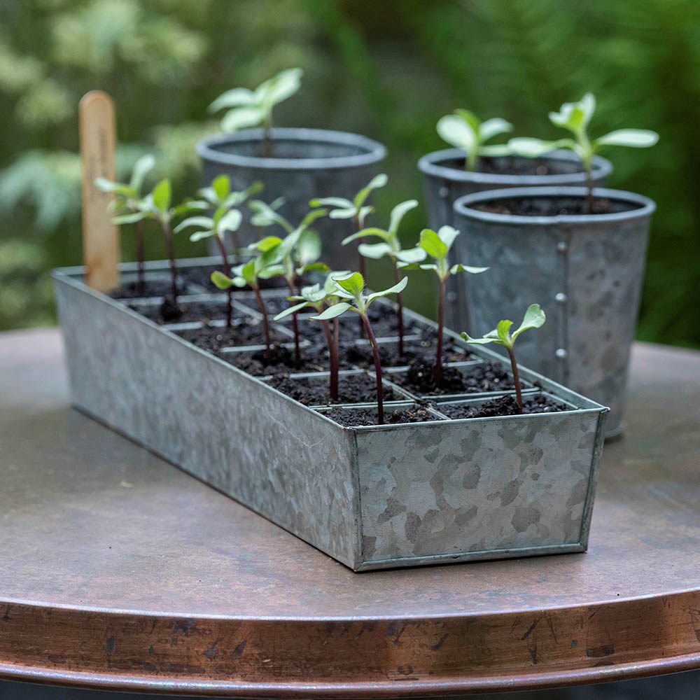 Galvanised metal tray with 12 grow pods