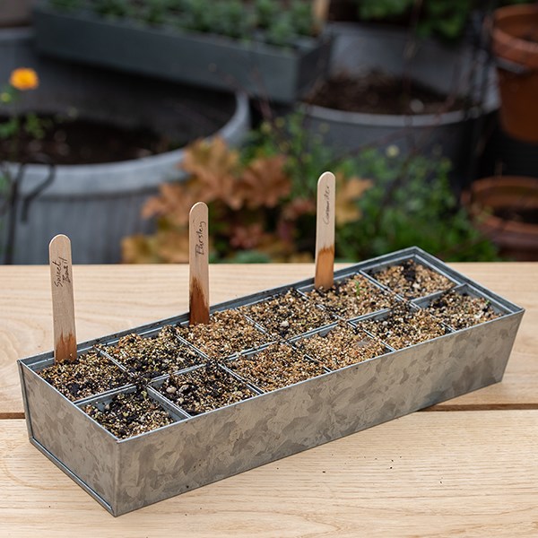 Galvanised metal tray with 12 grow pods