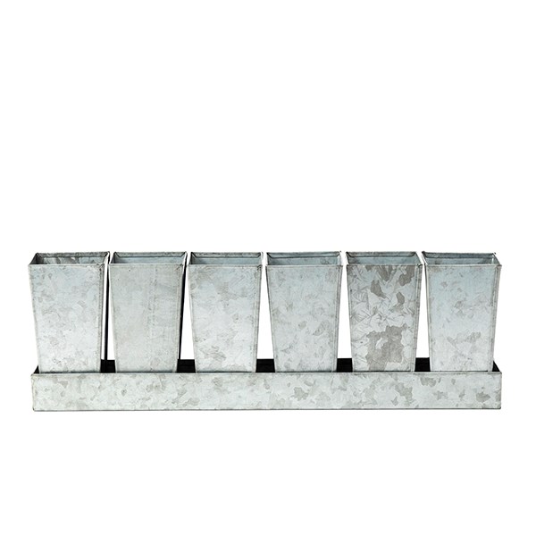 Galvanised metal tray with 6 tall root trainer pods