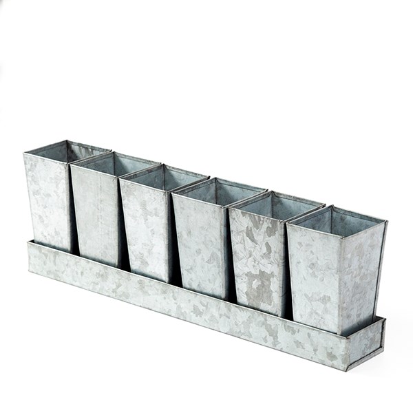 Galvanised metal tray with 6 tall root trainer pods