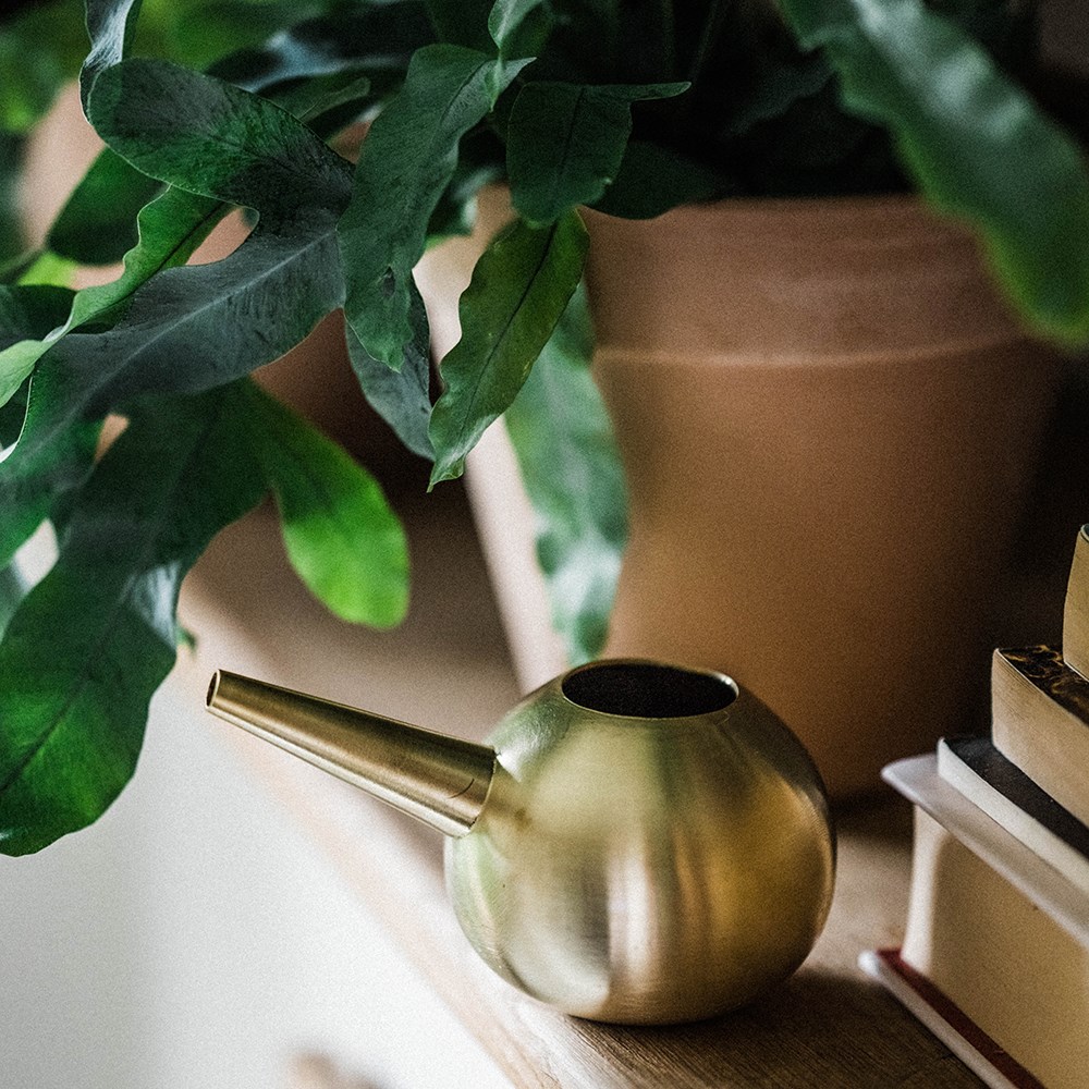 Brass watering hogs