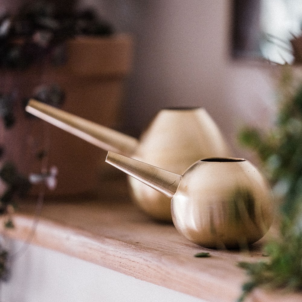 Brass watering hogs