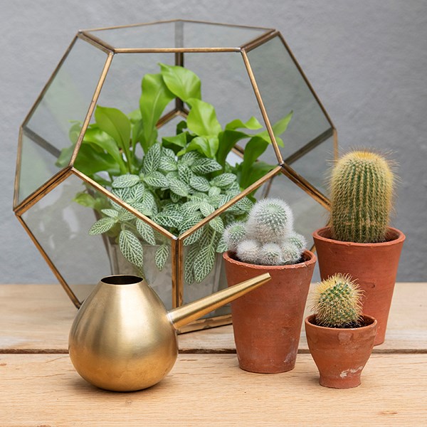Copper watering hogs
