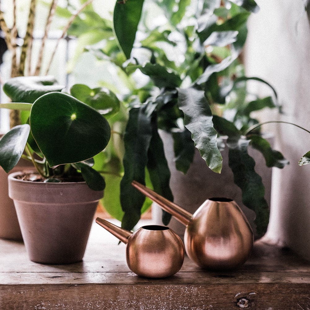Copper watering hogs