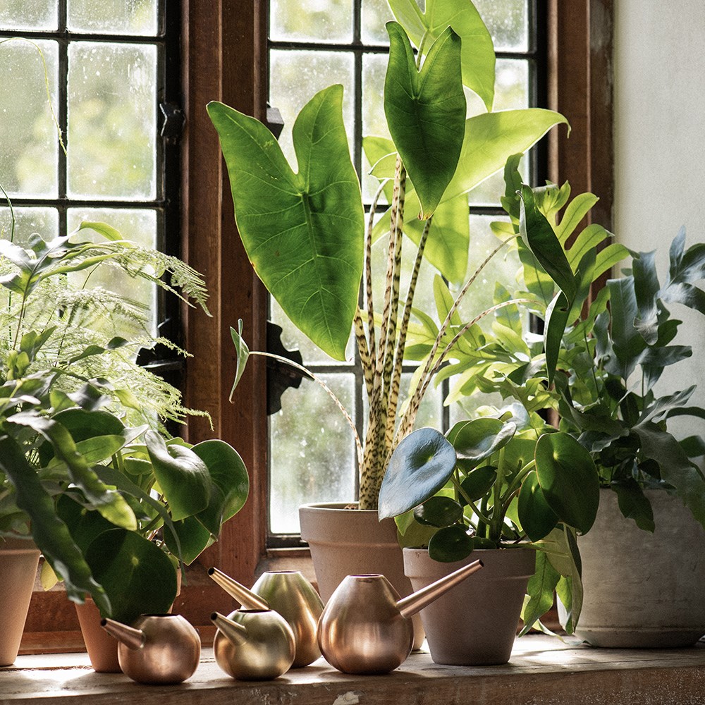 Copper watering hogs