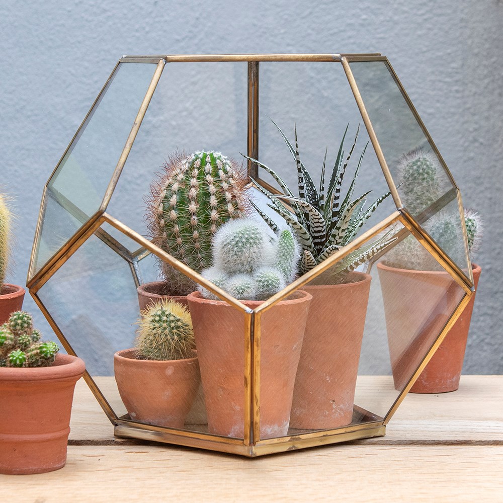 Pentagon terrarium with tray base