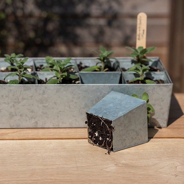 Galvanised metal tray with 12 large grow pods