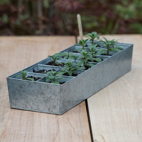 Galvanised metal tray with 12 large grow pods