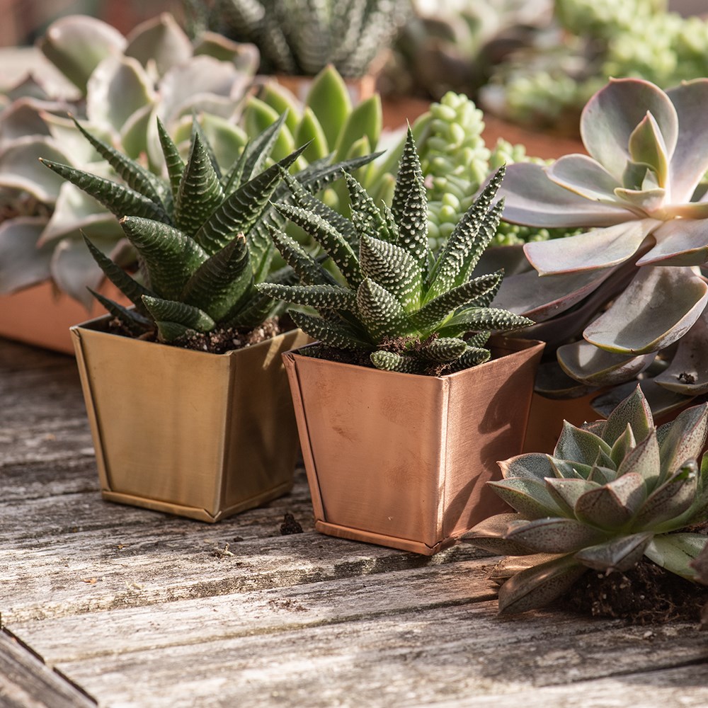 Brass pots - set of 6