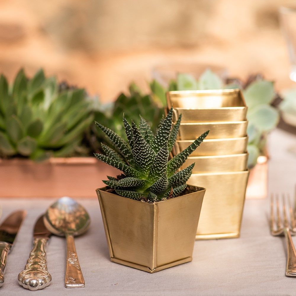 Brass pots - set of 6