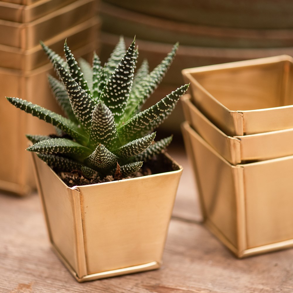 Brass pots - set of 6