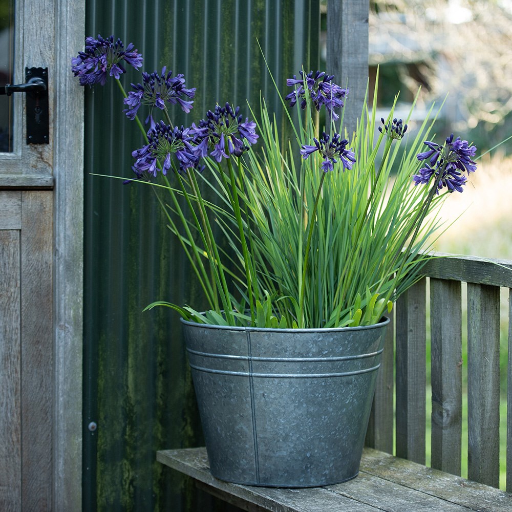 Ringed galvanised metal planter