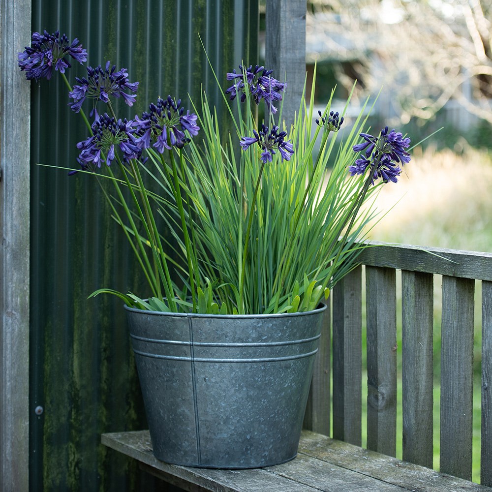 Ringed galvanised metal planter