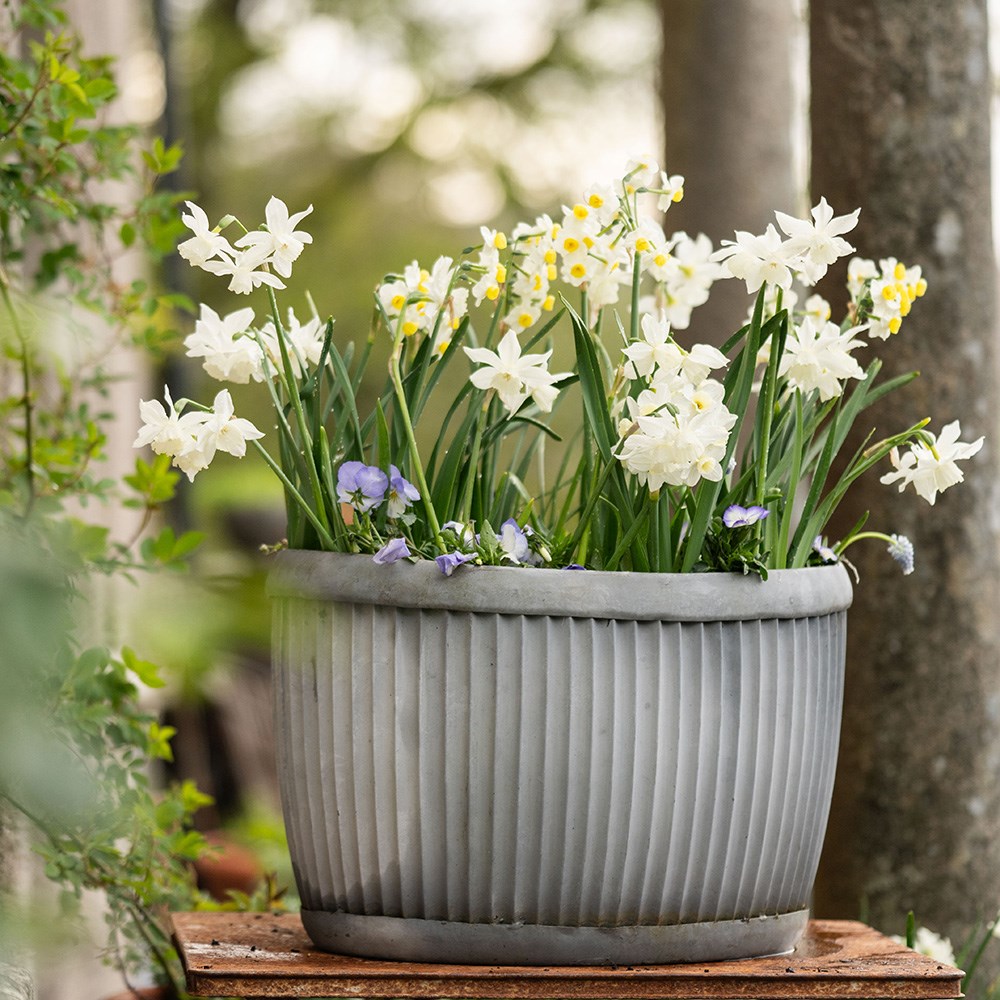 Oval dolly pot - aged zinc