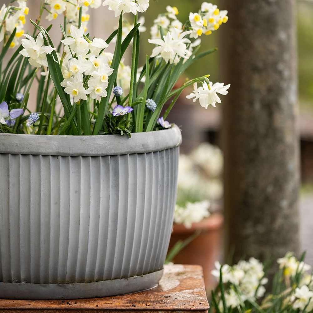 Oval dolly pot - aged zinc